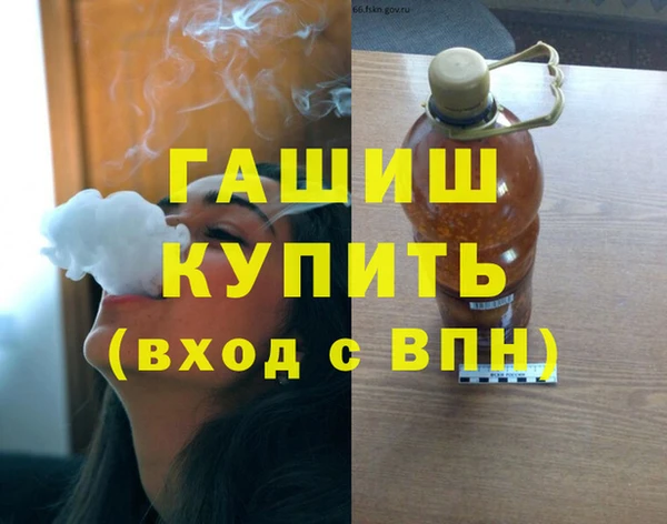 шишки Заволжск